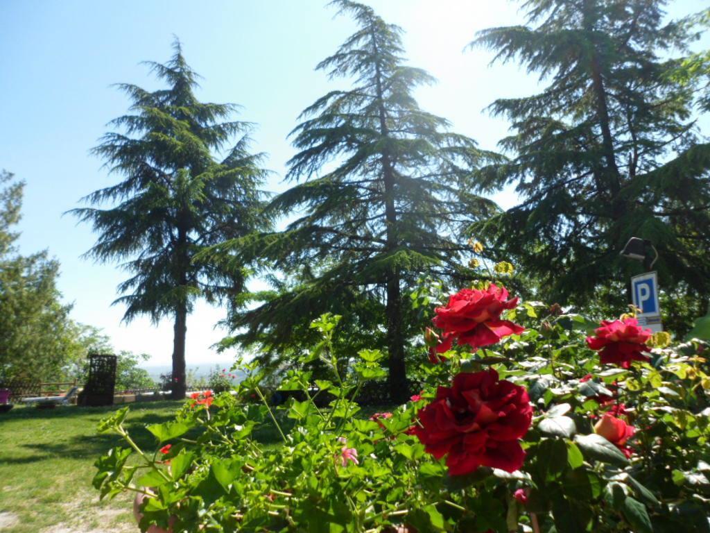 Agriturismo La Quiete 론코프레도 외부 사진